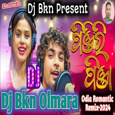 Pinjiri Pinja Odia Dj